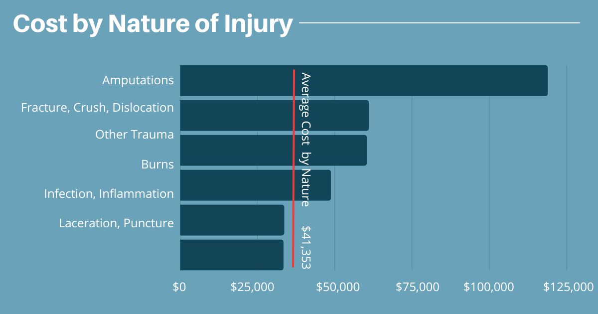 Graph comparing workers' compensation costs by nature of injury