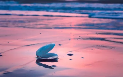 Meet Our LeadingResponse Team – Miranda Hamilton