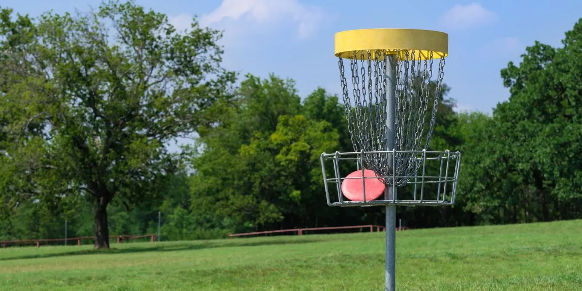 Disc Golf Cover