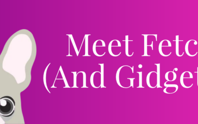 Meet FetchIQ: The Event and Lead Management Platform Built for Financial Advisors and Other Professionals